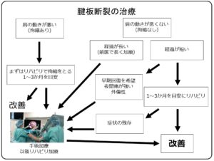 断裂 肩 症状 板 腱 【至急】肩腱板断裂（いわゆる肩のスジが切れた状態）、もしくは腱板損傷けんばんそ